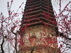 -玲珑塔公园