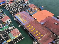-蓝湾碧波·老字号·疍家非遗海上餐厅