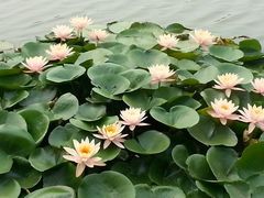 -艾溪湖湿地公园