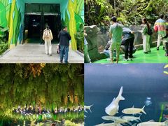 -海合安成都极地海洋公园