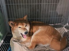 -小时光咖啡馆(北锣鼓巷店)