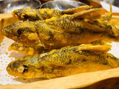 -丹江渔村(望京店)