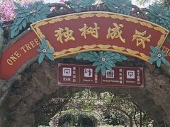 -瑞丽独树成林风景区