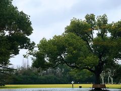 -御花园·粤菜·海鲜火锅(中山公园店)