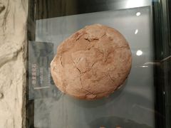 -温州博物馆