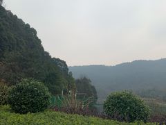 -桃花岭景区