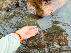 -广州白江湖森林公园