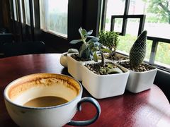 -菩提树下茶咖鼓捣