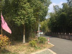 -游子山休闲旅游区