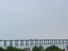 -宝安西湾红树林湿地公园