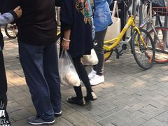 -天泽祥·鼓楼馒头(鼓楼店)