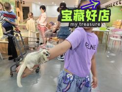 -Moni星球萌宠·小马宝莉·灵蛇·高端高阶全萌宠互动体验俱乐部(红豆国际广场店)
