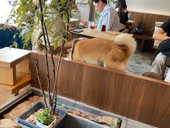 -溯洄咖啡VORTEX COFFEE