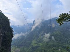 -鹿院坪生态旅游景区