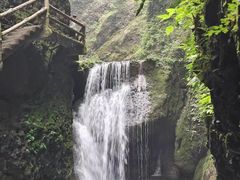 -青城山