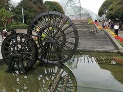 -南山植物园