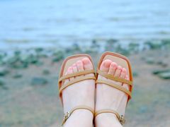 -福田红树林生态公园