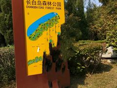 -长白岛森林公园