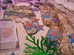 -沈阳海洋探索中心