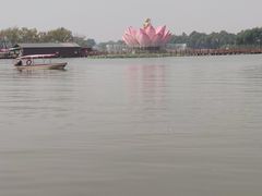 -白洋淀景区