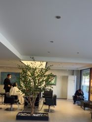 -付军剪艺JF ProSalon