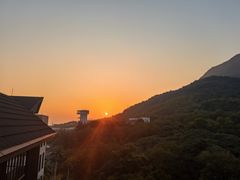 -杨梅坑