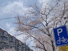 -永乐路-路侧停车场