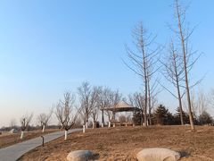 -汉长安城未央宫国家考古遗址公园