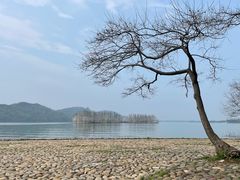 -东湖落雁景区