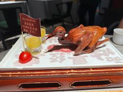 -大鸽饭(体育西路店)