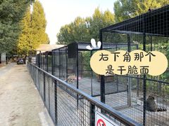 -爪吧宠物乐园·宠物泳池(温榆河示范区店)