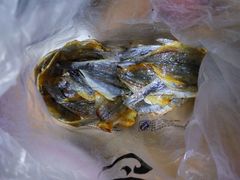 -水一方现烤鱿鱼丝大连特产(高新苏宁百货店)