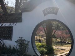 -无锡梅园公园