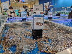 -盒马X会员店(上海森兰商都店)