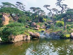 -罗红摄影艺术馆