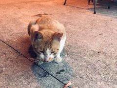 -晓琦农家菜馆·地道农家菜
