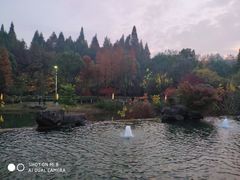 -良渚君澜度假酒店·中餐厅