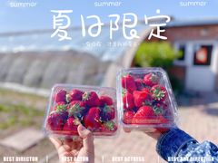 -甜心庄园·甜心草莓采摘园(西青中北店)