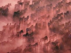 -罗红摄影艺术馆