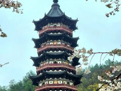 -牛首山文化旅游区