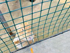 -前小桔亲子创意农场·草莓采摘·露营烧烤