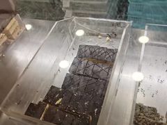 -上海哈尔滨食品厂(汇联商厦店)