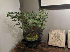 -德迹斋禅意文化茶馆·茶空间·商务洽谈•宴席(桃园店)