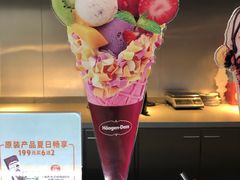 -哈根达斯(西安高新店)