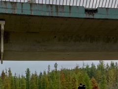 -白鹭湾湿地公园