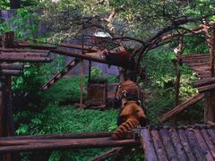 -昆明动物园