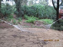 -三亚亚龙湾红树林度假酒店