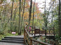 -武隆天坑寨子景区