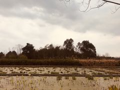 -白鹭湾湿地公园