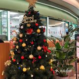 正宗地道的新加坡之味🍃肉骨茶好好吃